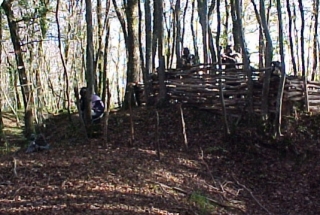  Zona ligeramenle arbolada 