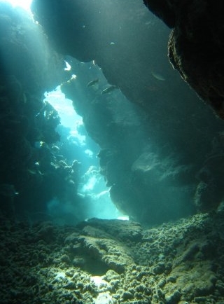  Luz de las profundidades 