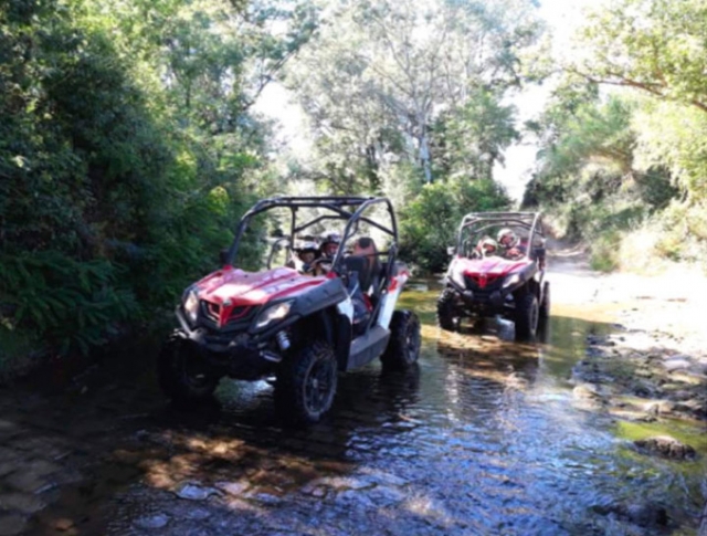  Emociones aseguradas en un buggy 