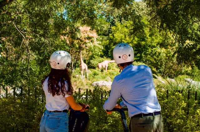  El zoológico de Lyon, en el parque Têle d'Or 