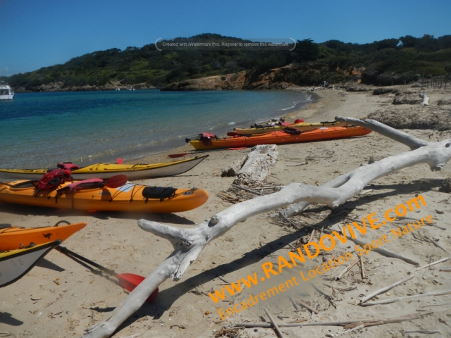  Porquerolles con Randovive 