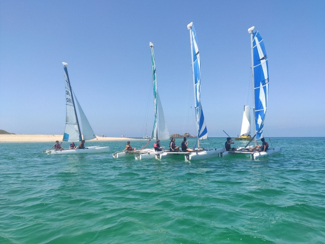  Sort ie en catamar un