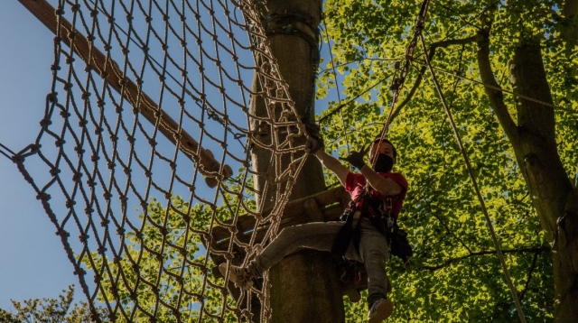  Curso de aventura en las copas de los árboles para niños y adultos 