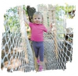 El curso de aventura para los más pequeños 