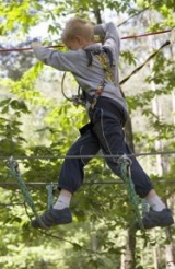  Curso entre los árboles 