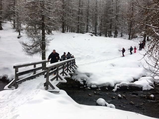  Travesía un pequeño arroyo