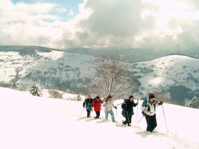  Pbaños con raquetas de nieve 