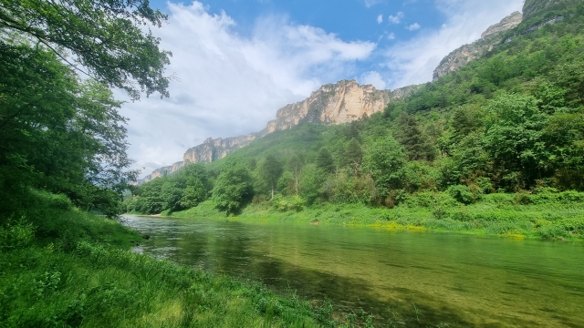  Verde hasta donde alcanza la vista en Lozère 