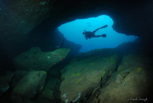  Descubrimiento de la fauna y la flora local.