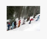  Una brillanle idea para las salidas escolares