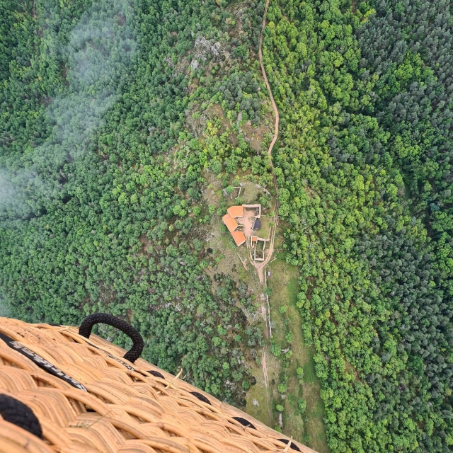 El verdor visto desde el cielo 