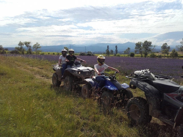 Descubrimiento de los campos de lavanda en cuatrimoto