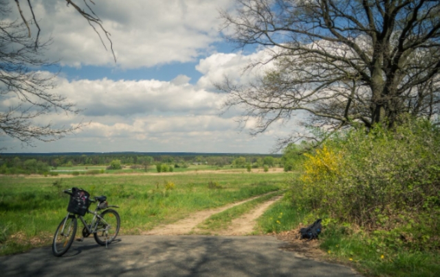  Paseo en bicicleta en la naturaleza 