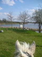 A caballo en Pressignac 