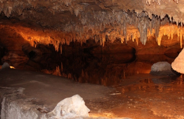 Explora el mundo subterráneo de una forma única