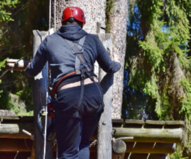 Instructor de copas de árboles