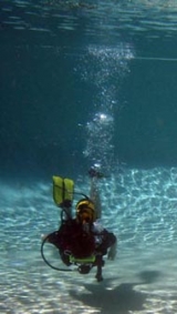  Bucear en su propia alberca 