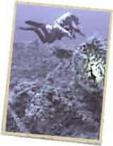  Buceo único en Marsella