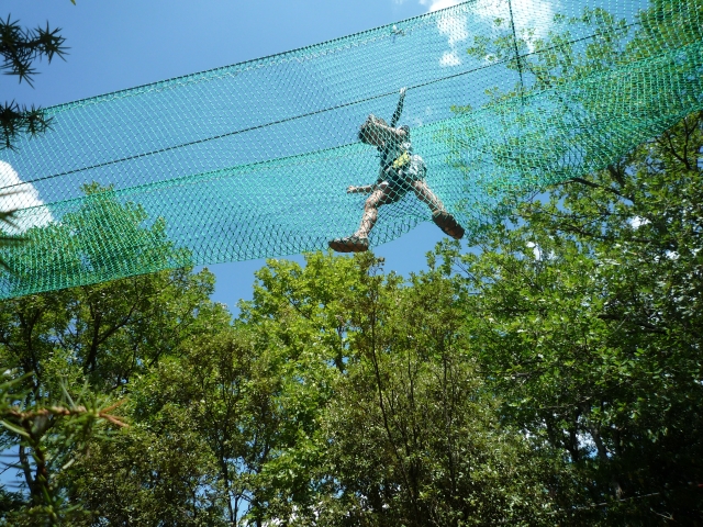 Actividades deportiva y parque de animales 