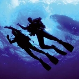 Emociones fuertes bajo el agua 