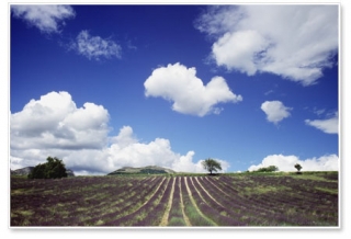 El Drome Provenzal en planeador 