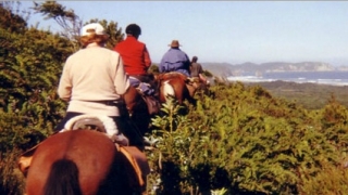 Salida a caballo Salida a caballo