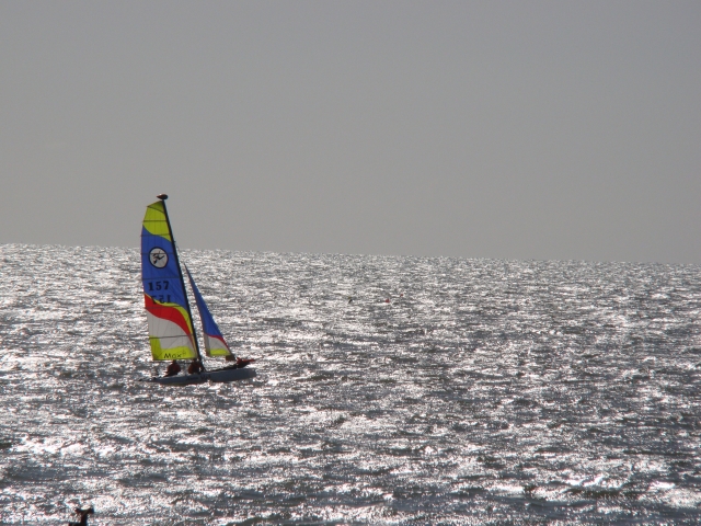  Catamarán adulto (Hobie Max) 