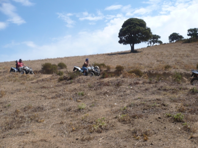  Excursiones únicas en cuatrimoto en Córcega