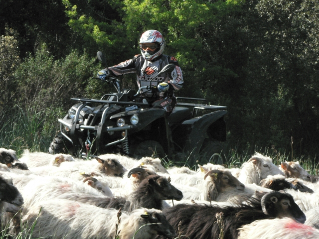  Córcega en Cuatrimoto 