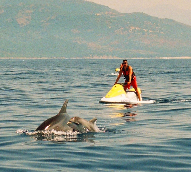 Descubre la vida silvestre del sur de Córcega con un Cuatrimoto Jet Pro Jet Ski 