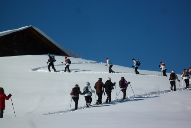  Excursión con raquetas de nieve en familia o con amigos 