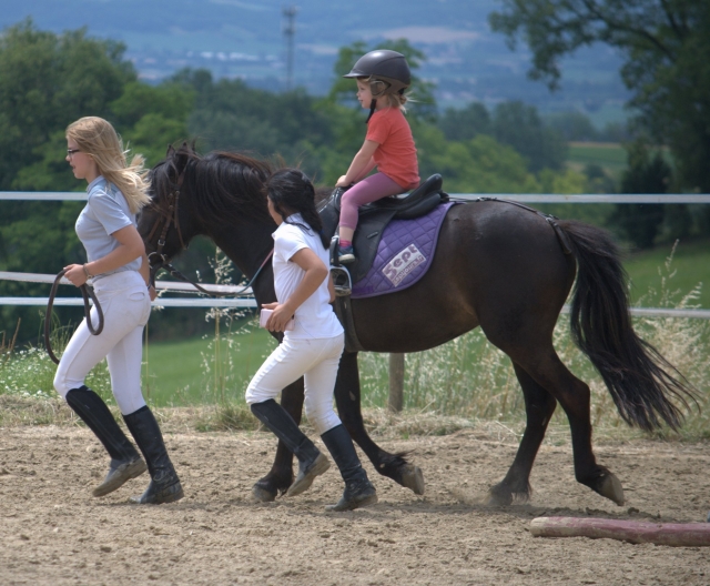  Equitación incluso para los más pequeños 