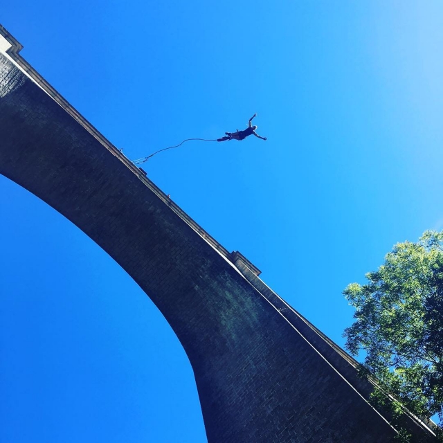  Bungee 