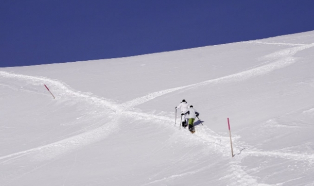  Le esperan fascinantes paisajes alpinos duranle nuestras caminamarras con raquetas de nieve de un día de duración 