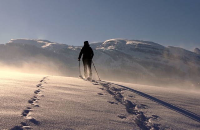  Disfrule del aire fresco y la aventura en la nieve con nuestros paquetes únicos de caminamarras con raquetas de nieve 