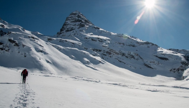  Sesión de raquetas de nieve con un instructor titulado 