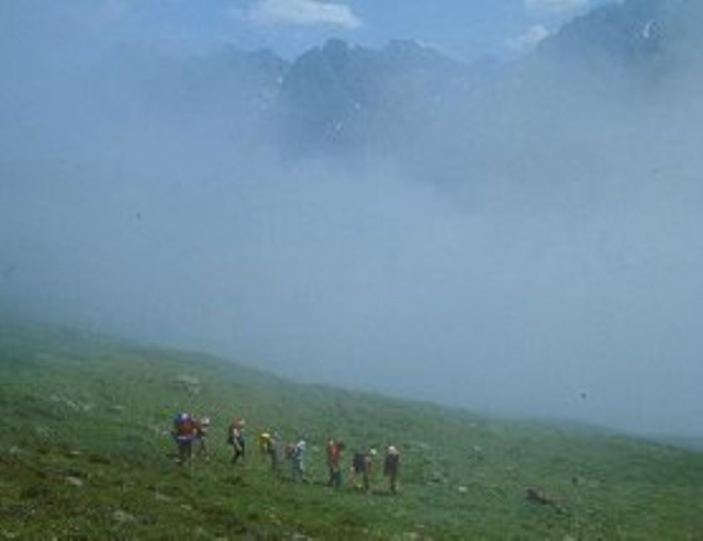  Camicrema en el Pirineo 