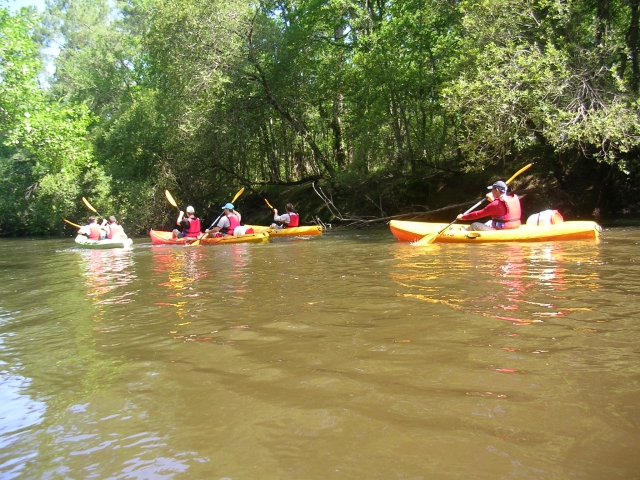  canoa kayak leyre 