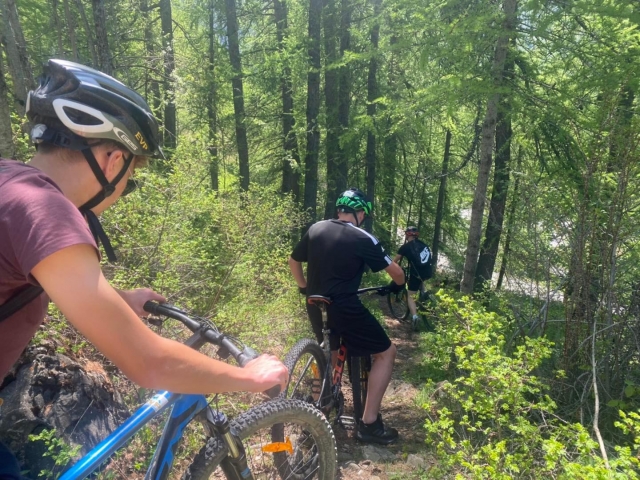  Ciclismo de cerro en los Altos Alpes 