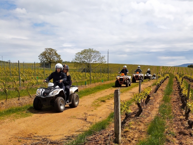  Logo Deportes Ocio Naturaleza 