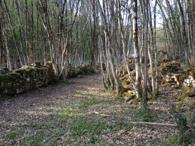  Típico Périgord 