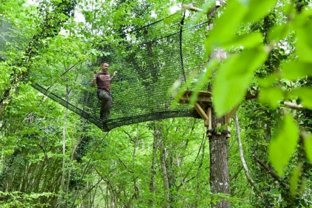  Trepando a los árboles en medio del bosque 