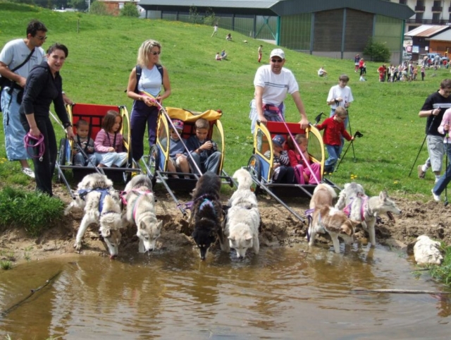  Mushing en familia 