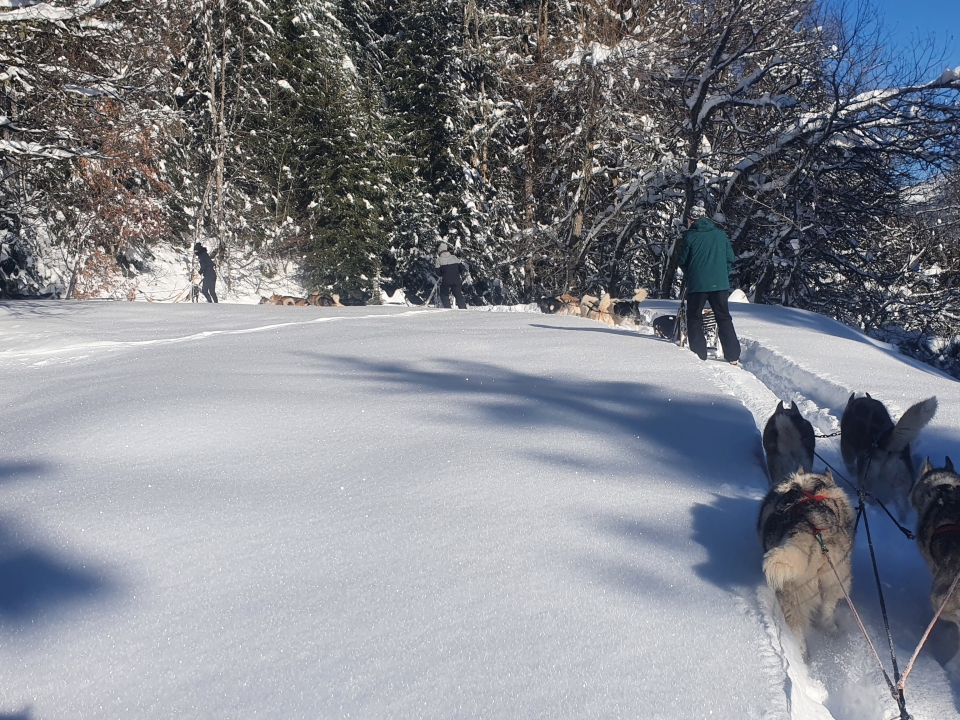 Logo Trineo Pasión y Parque Nórdico 