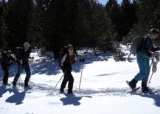  paseo en raquetas de nieve en grupo 