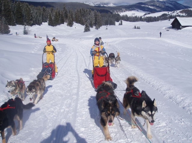  Mushing Niño Alta Saboya 
