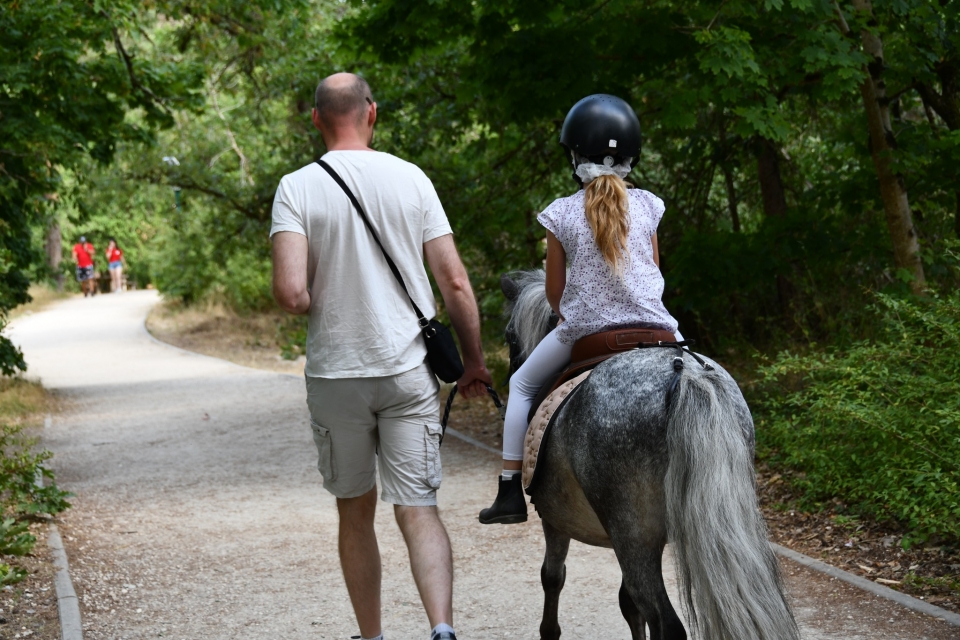  Sala de sala cerca de París -9999- Wakeboarding en París 