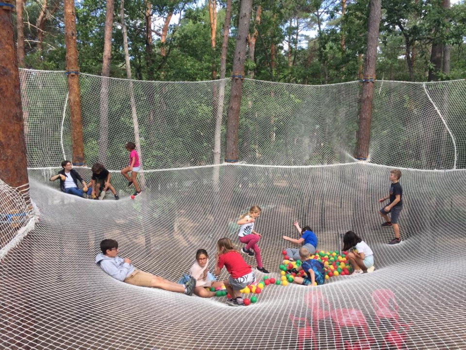  Crafts of the Tree-Branch 