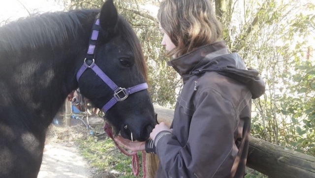  Cuidando a su caballo 