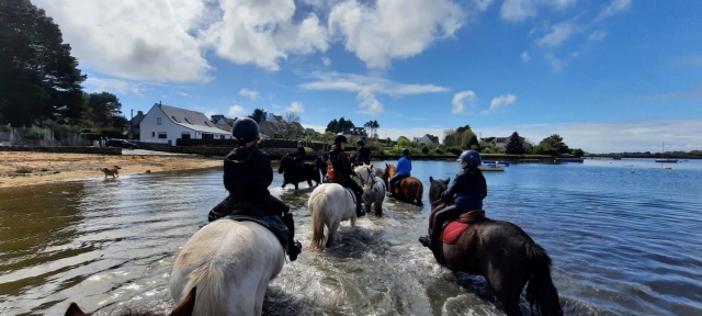  Paseo refrescanle a caballo 